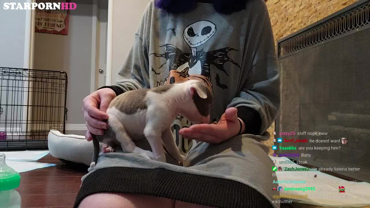 JustaMinx Leaked Pussy on cam – New Video Leakeded