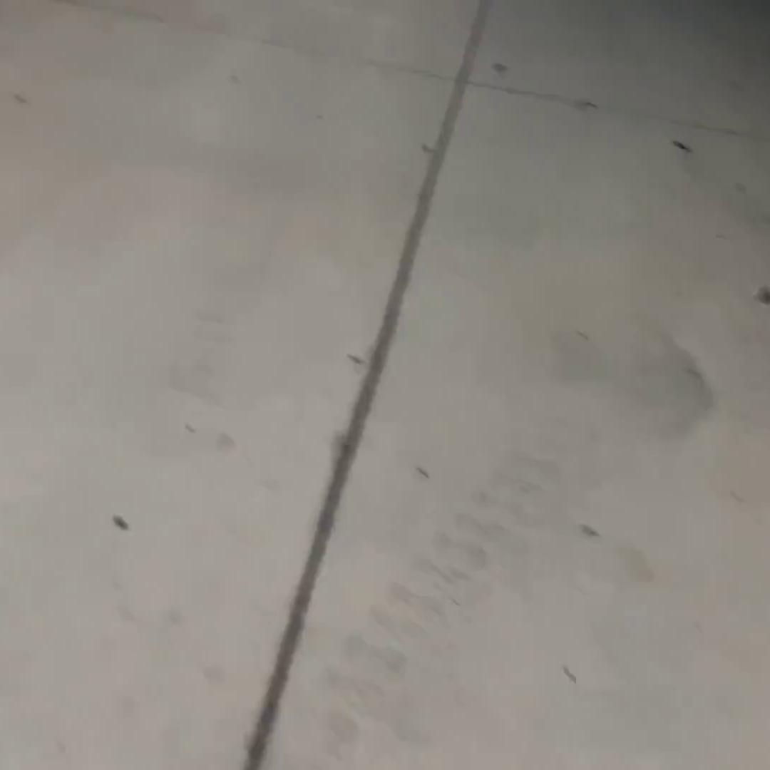 Bryce Adams AKA Fitbryceadams Nude Fuck Pizza Guy