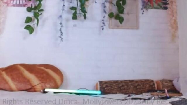 Mollyflwers Nude Buttplug Pussy Vibrator Livestream